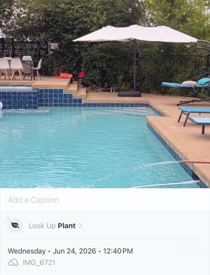 Pool - Dallas unit 1 (La Mesa)