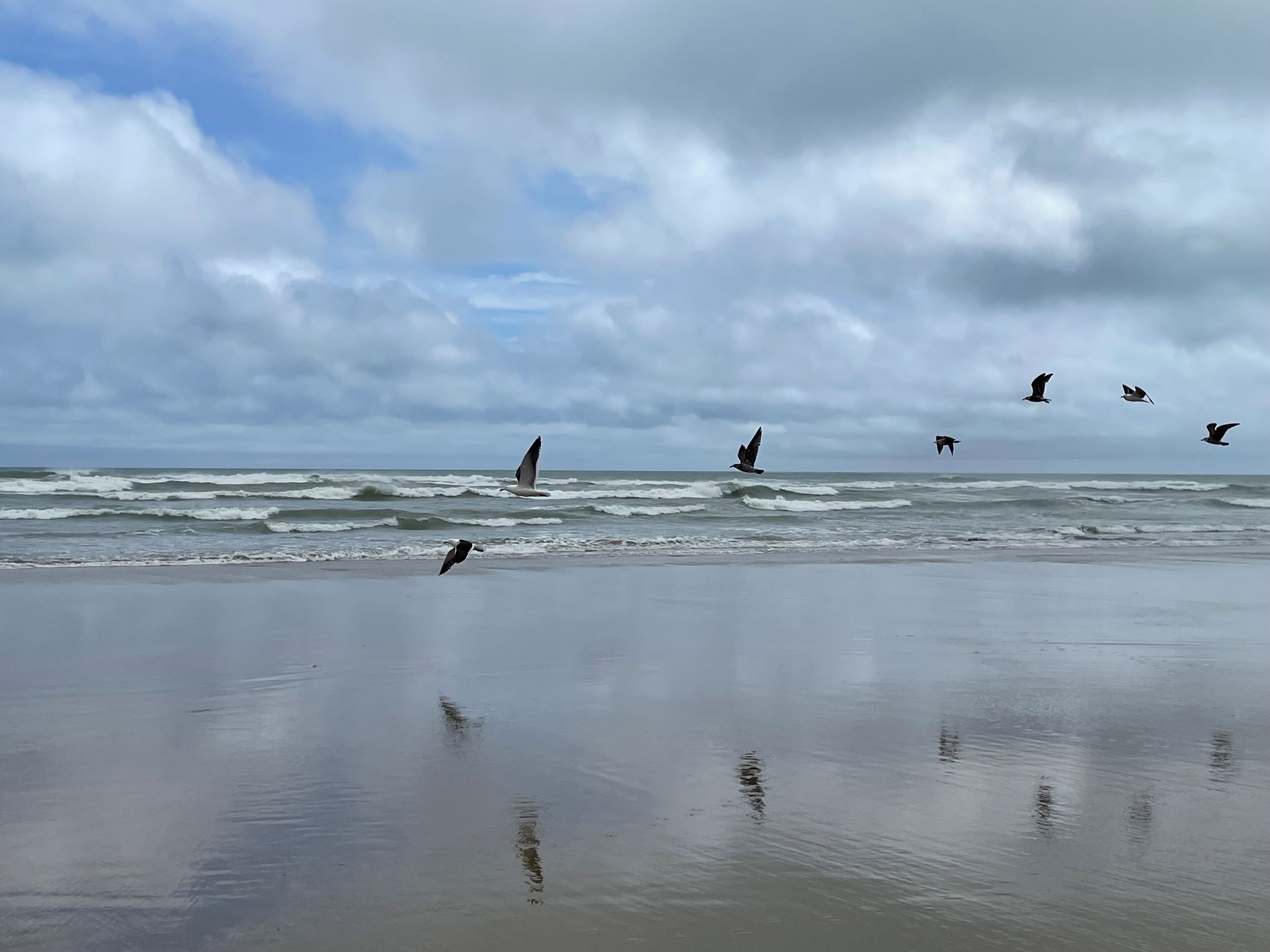 Una playa cerca, toallas de playa