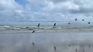 Una playa cerca, toallas de playa