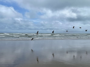 Beach nearby, beach towels