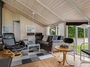 Fernseher, Kamin