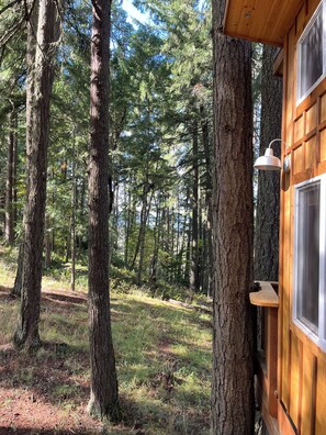 A wooden cabin with a window and a wall-mounted light fixture, surrounded by a forested area. - Mountain View Treehouse in Sutherlin with full bath and AC, 5 minutes from I-5 (Sutherlin)