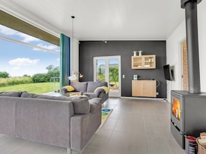 Fernseher, Kamin