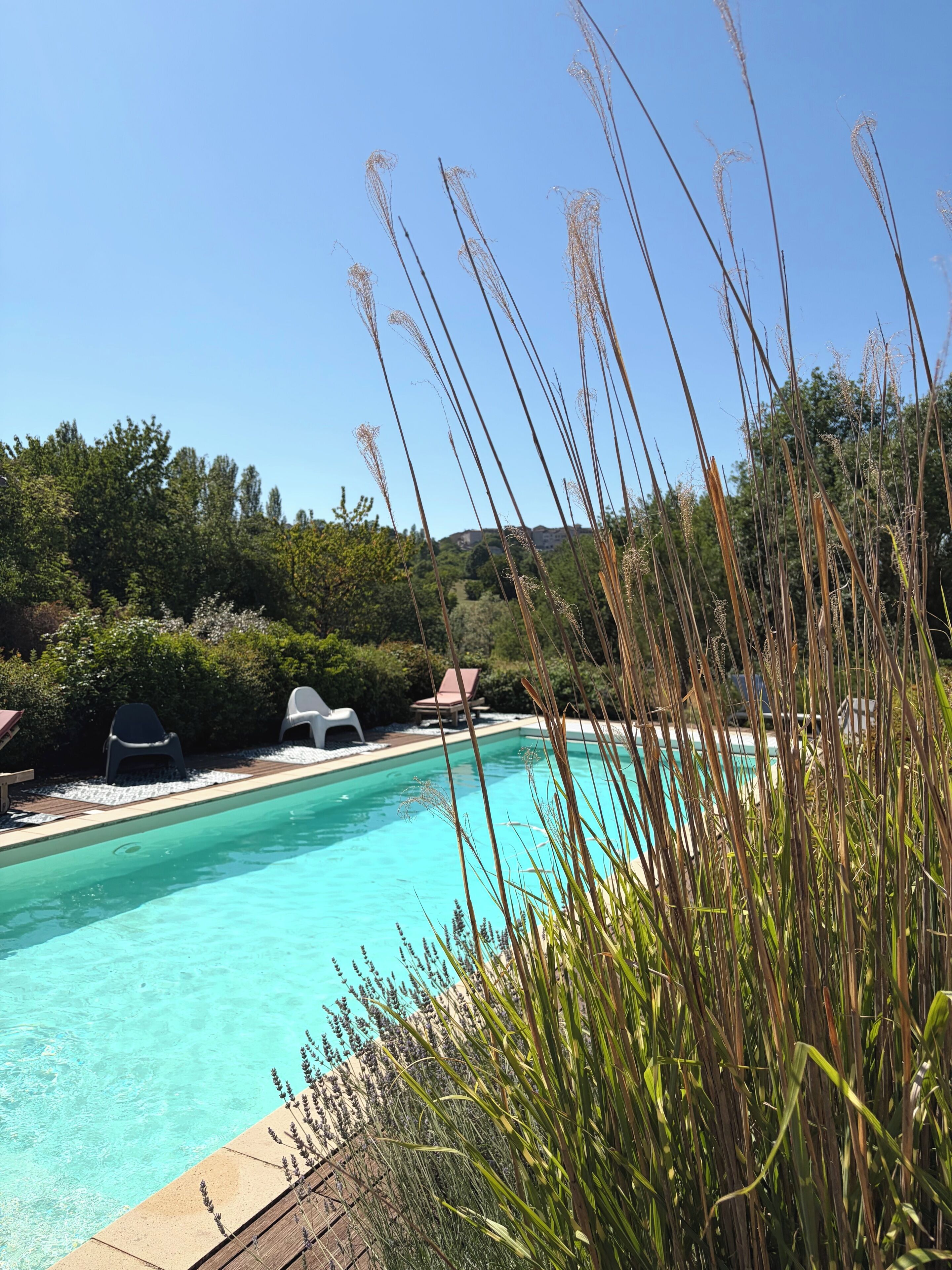 Ein Schwimmbecken mit klarem Wasser, umgeben von Grünpflanzen und einigen Liegestühlen.