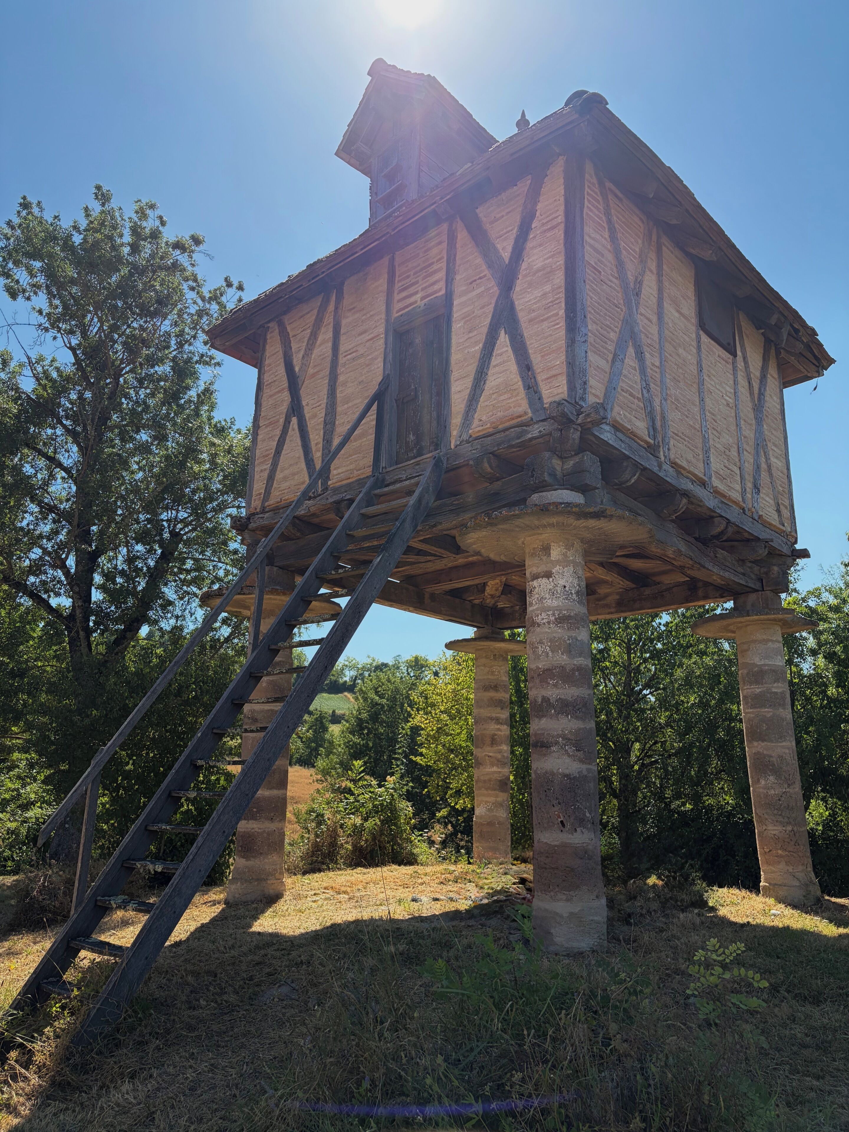 Une structure en bois en forme de tour, avec un escalier menant à son sommet, entourée d’arbres.