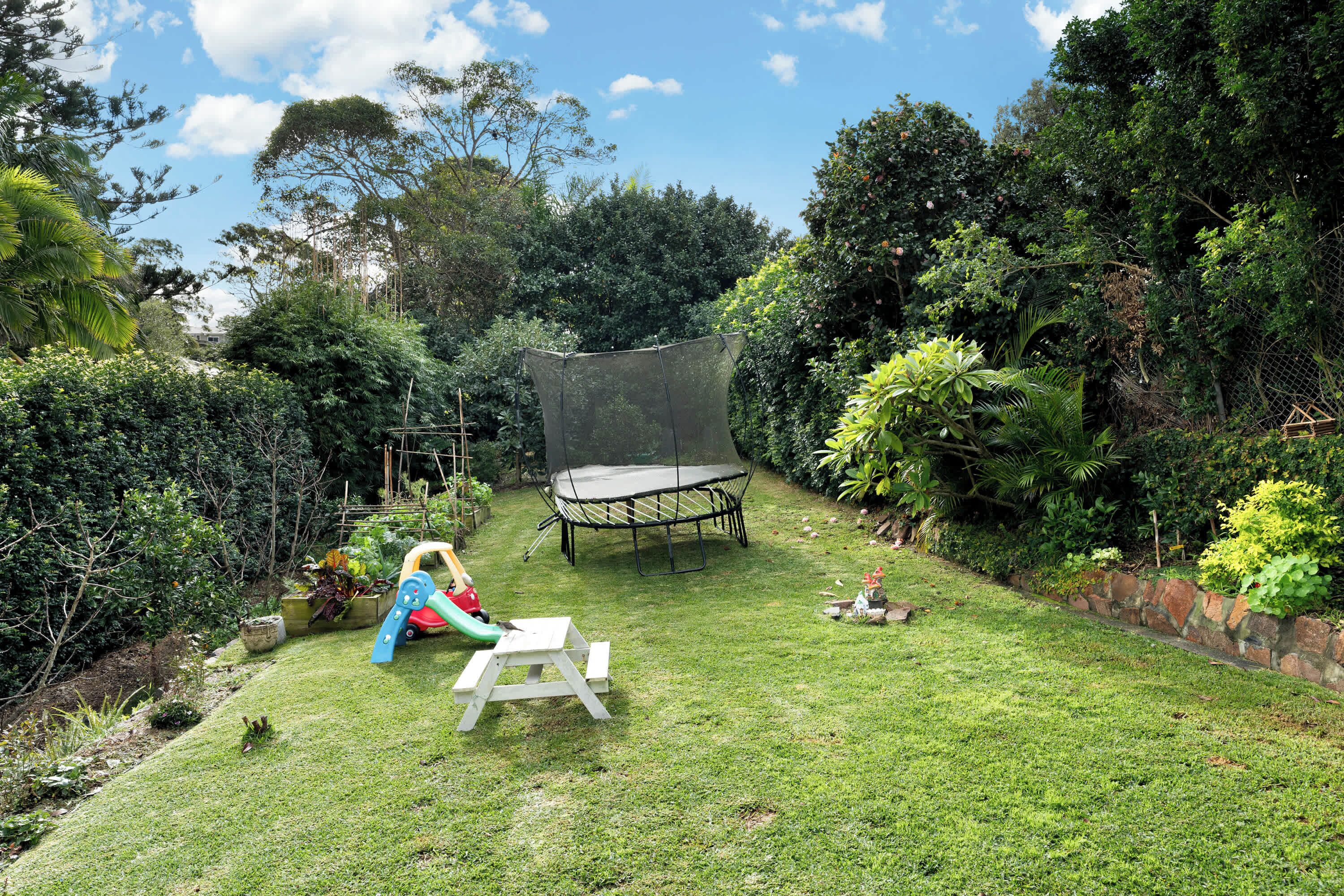 A backyard with a trampoline, a picnic table, and dense foliage.