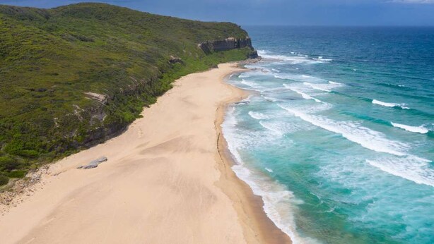 Una playa con arena dorada y olas del océano, rodeada de colinas verdes.