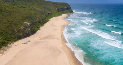 Dudley Family Home - Yard, Pets & Beach Walks