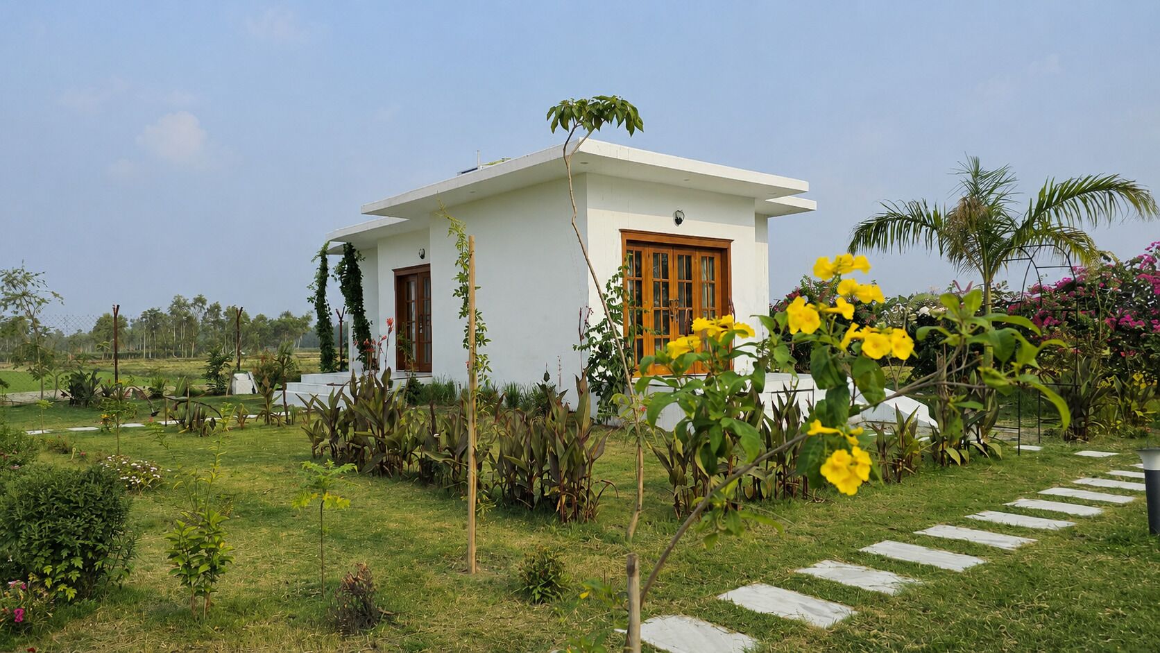 Garden view