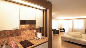 Fridge, dishwasher, cookware/dishes/utensils