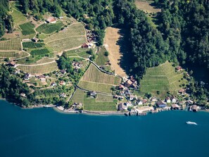 Vista aérea de una propiedad frente al lago con filas de viñedos, casas y un muelle.