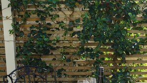 A table with a bottle and glasses, surrounded by metal chairs, set outdoors with a wooden fence and greenery in the background. - Private, spacious, well appointed, self-contained unit. (Tauranga)