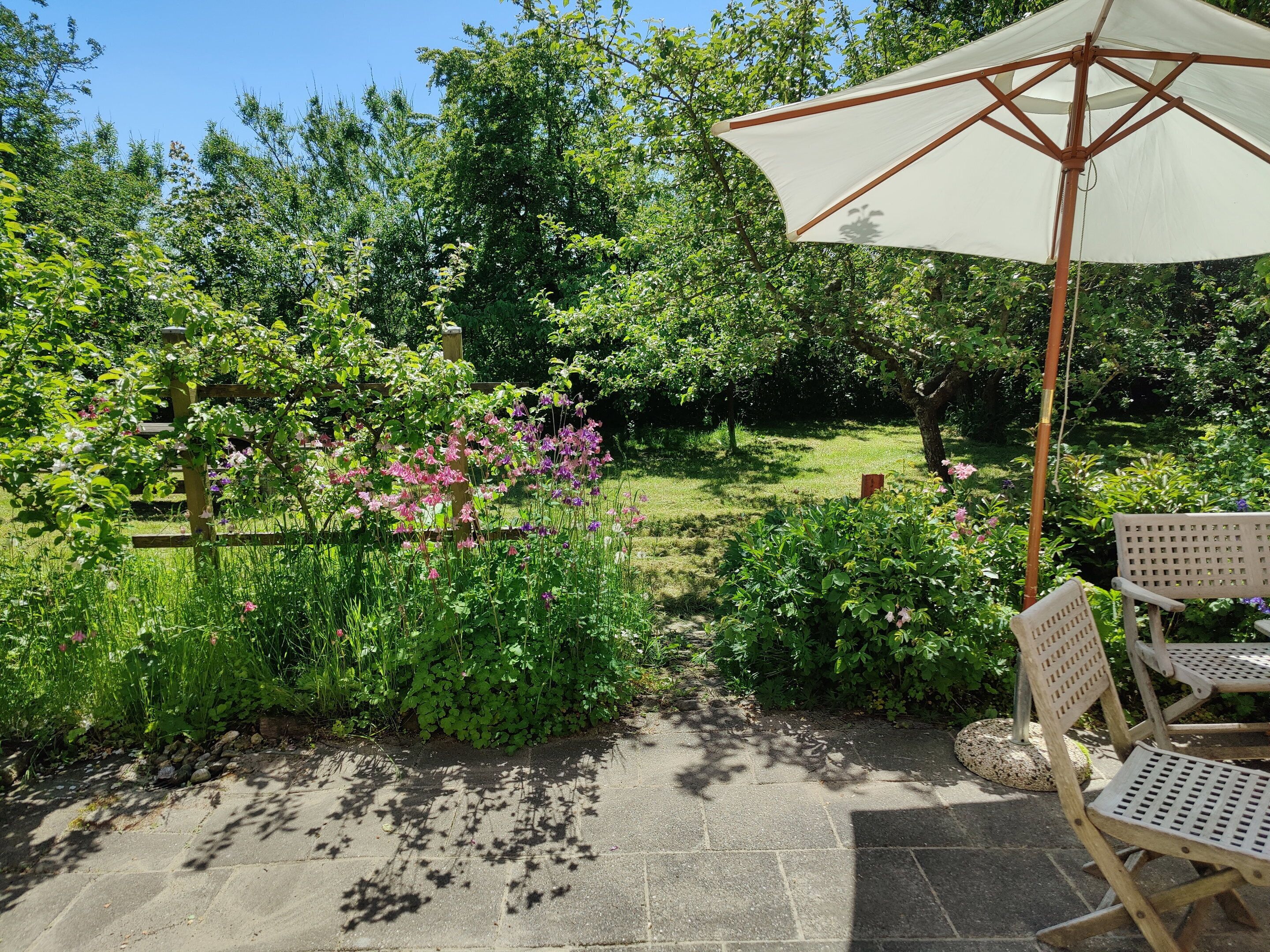 Terrasse/gårdhave