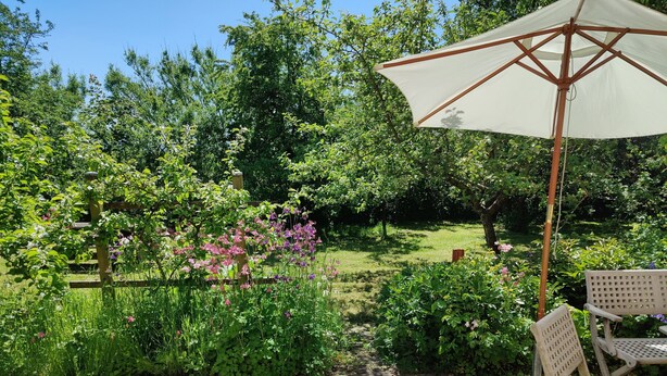 Une terrasse de jardin avec un banc en bois, un parasol blanc et une végétation luxuriante.