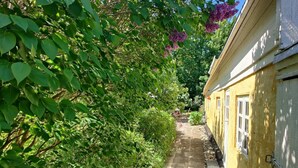 Un étroit sentier de pierres mène à un bâtiment jaune aux fenêtres blanches, entouré d’un feuillage verdoyant et de fleurs violettes.