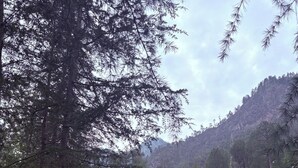 A building labeled 'The Kath Kuni' with a path leading to it, surrounded by trees and a mountainous backdrop. - The Kath Kuni (Kullu)