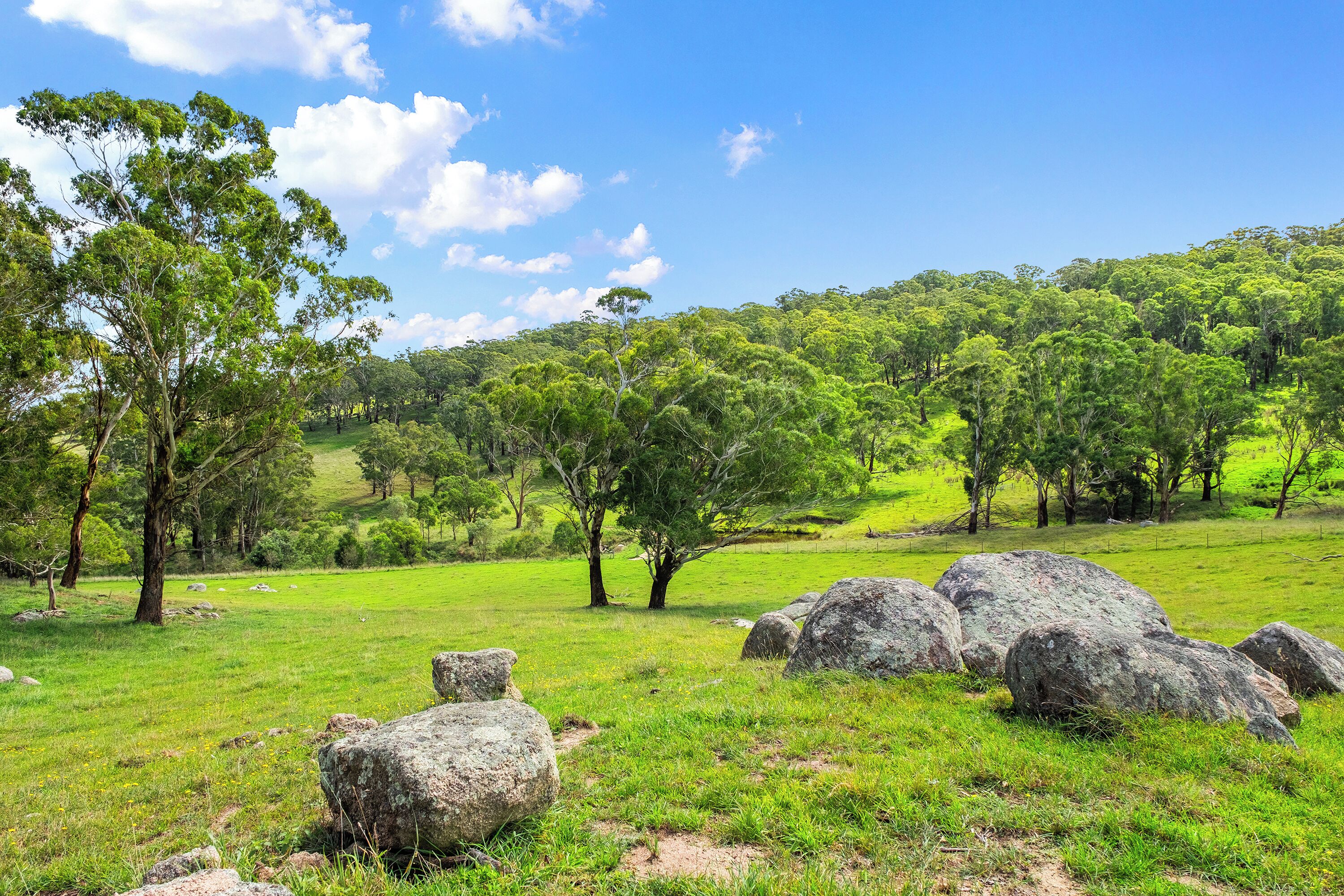Un campo cubierto de hierba con rocas grandes y árboles bajo un cielo despejado.