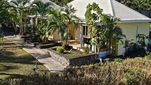 Una zona residencial con casas, un camino pavimentado y abundante vegetación.