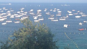 Ein Yachthafen mit zahlreichen angesterten Booten.