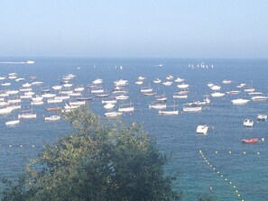 A marina with numerous boats docked. - CapSaSal Navy: What It's Like to Live on the Bow of a Ship (CT)