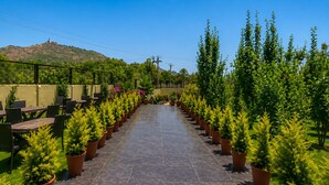 Un chemin bordé de plantes en pot qui mène à un espace de détente en plein air.