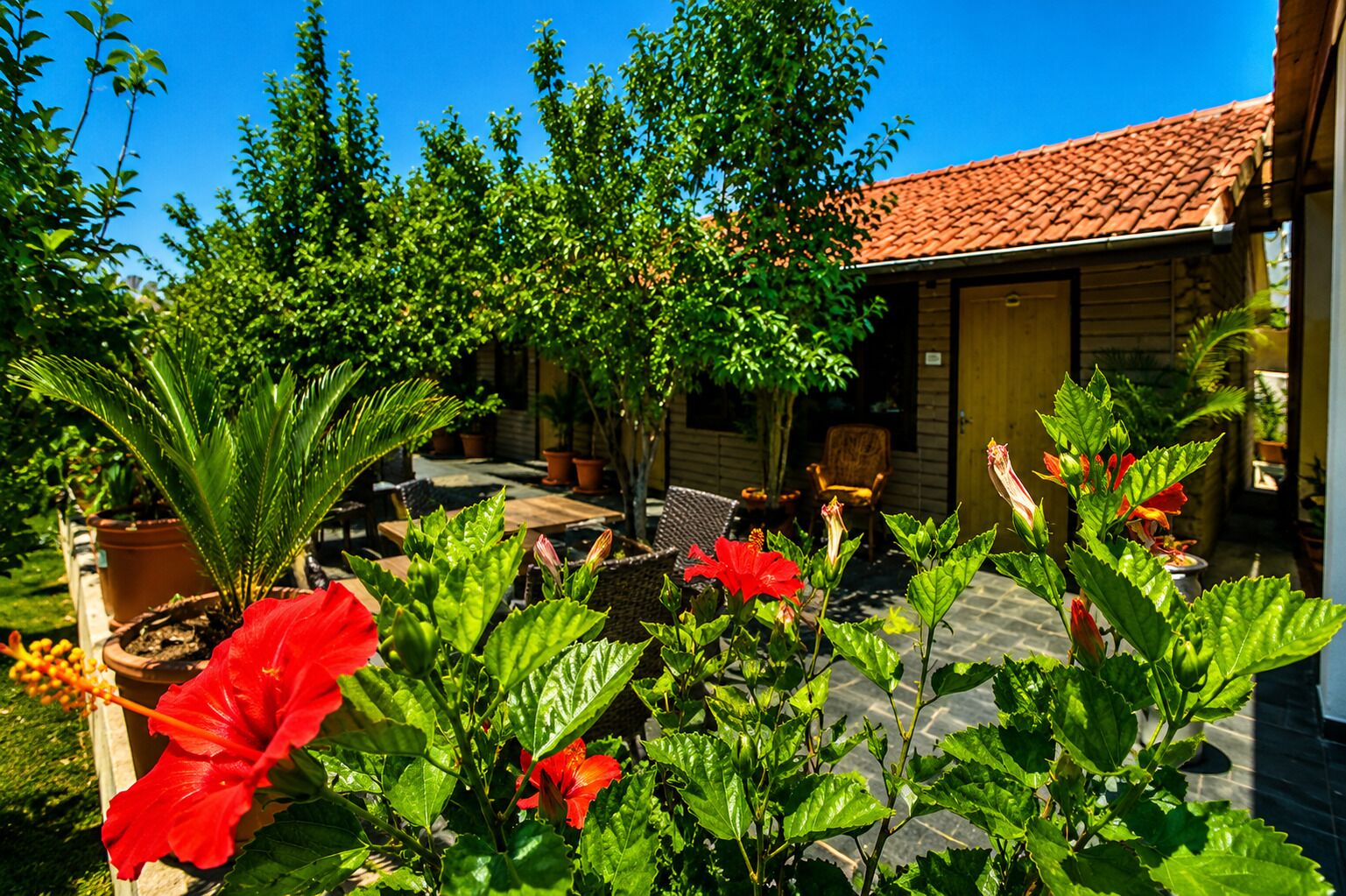 Une terrasse avec des meubles d’extérieur, des plantes en pot et un bâtiment doté d’un toit recouvert de tuiles.
