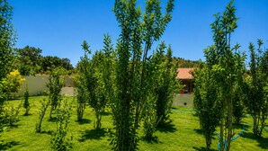 Un jardin bien entretenu, avec différentes plantes vertes et un ciel bleu dégagé.