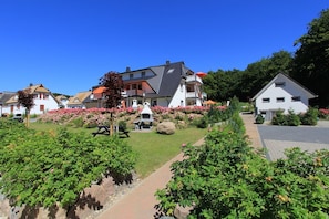 Property grounds - Pinguin Vacation Rental – Where Nature, a Sauna, and the Sea Await You - Küstenwaldhaus (Koserow)