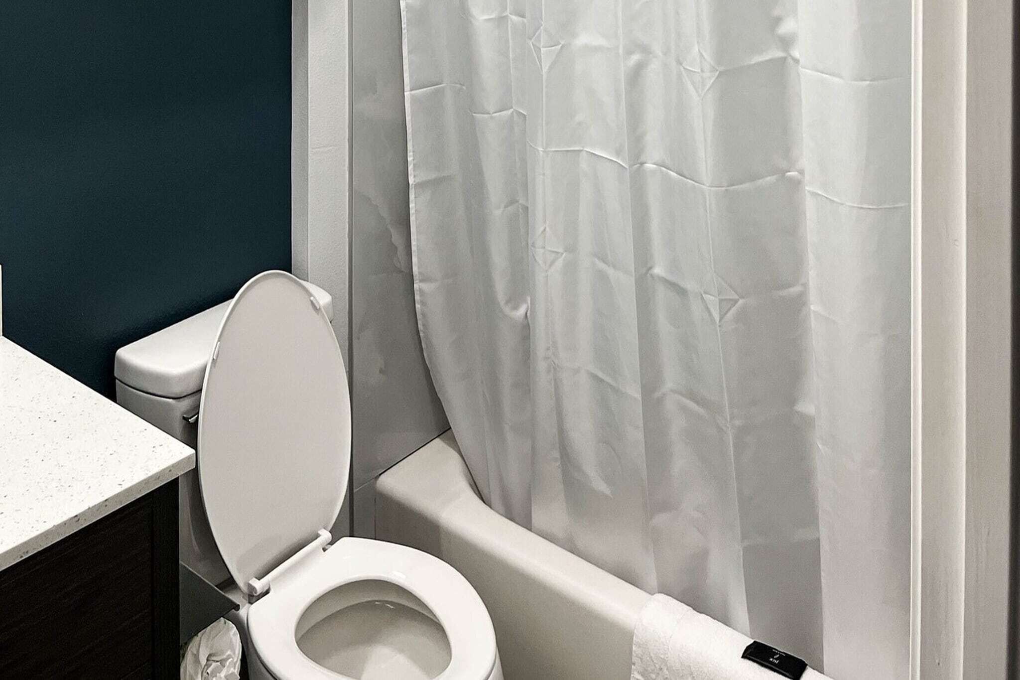 Een badkamer met een toilet, douchegordijn en een wit wastafel.
