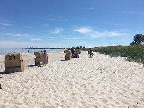 Een strand met ligbedden en parasols, een heldere lucht en een verre kustlijn.