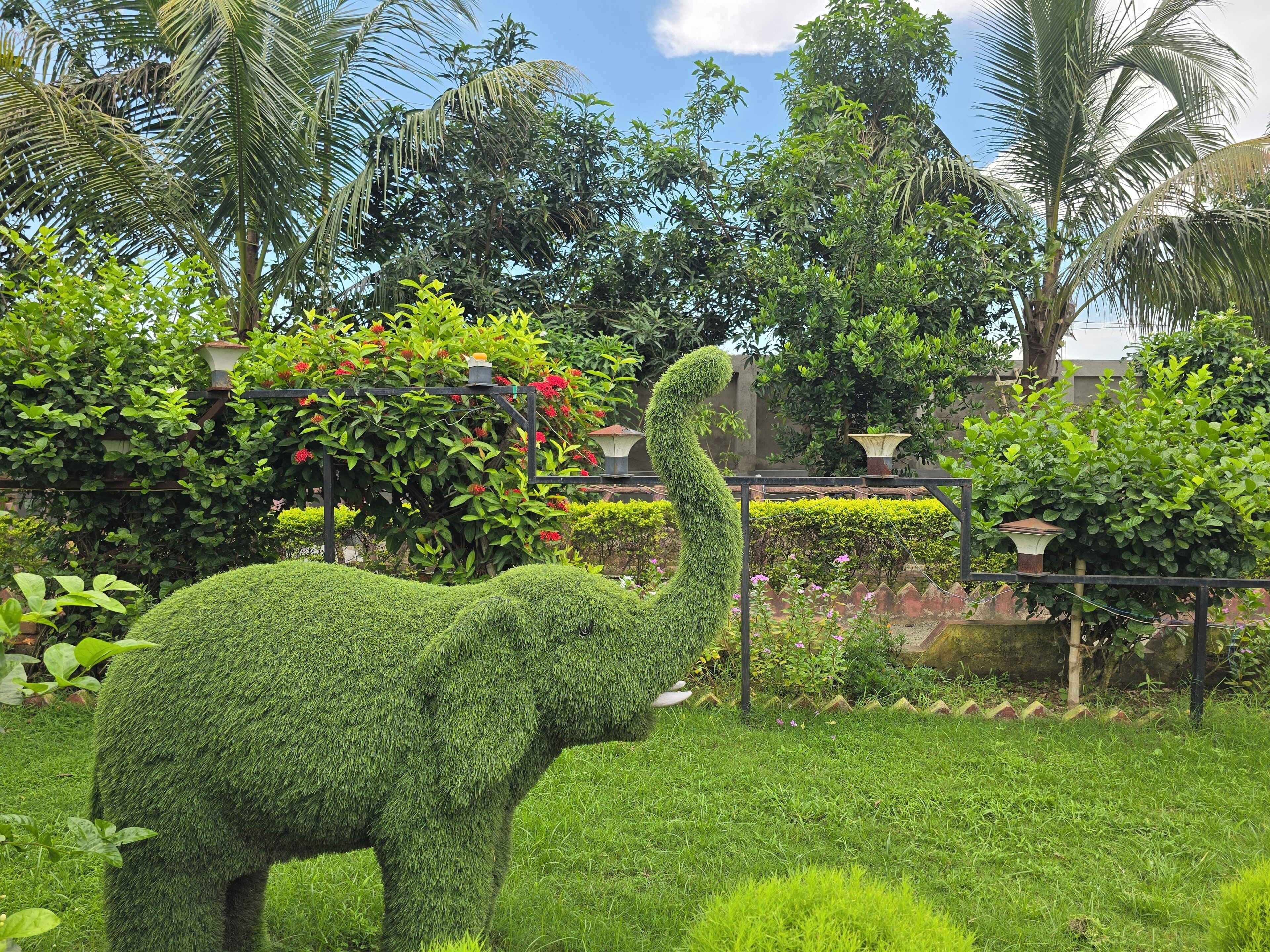 Garden view