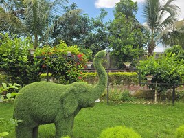 Vista al jardín