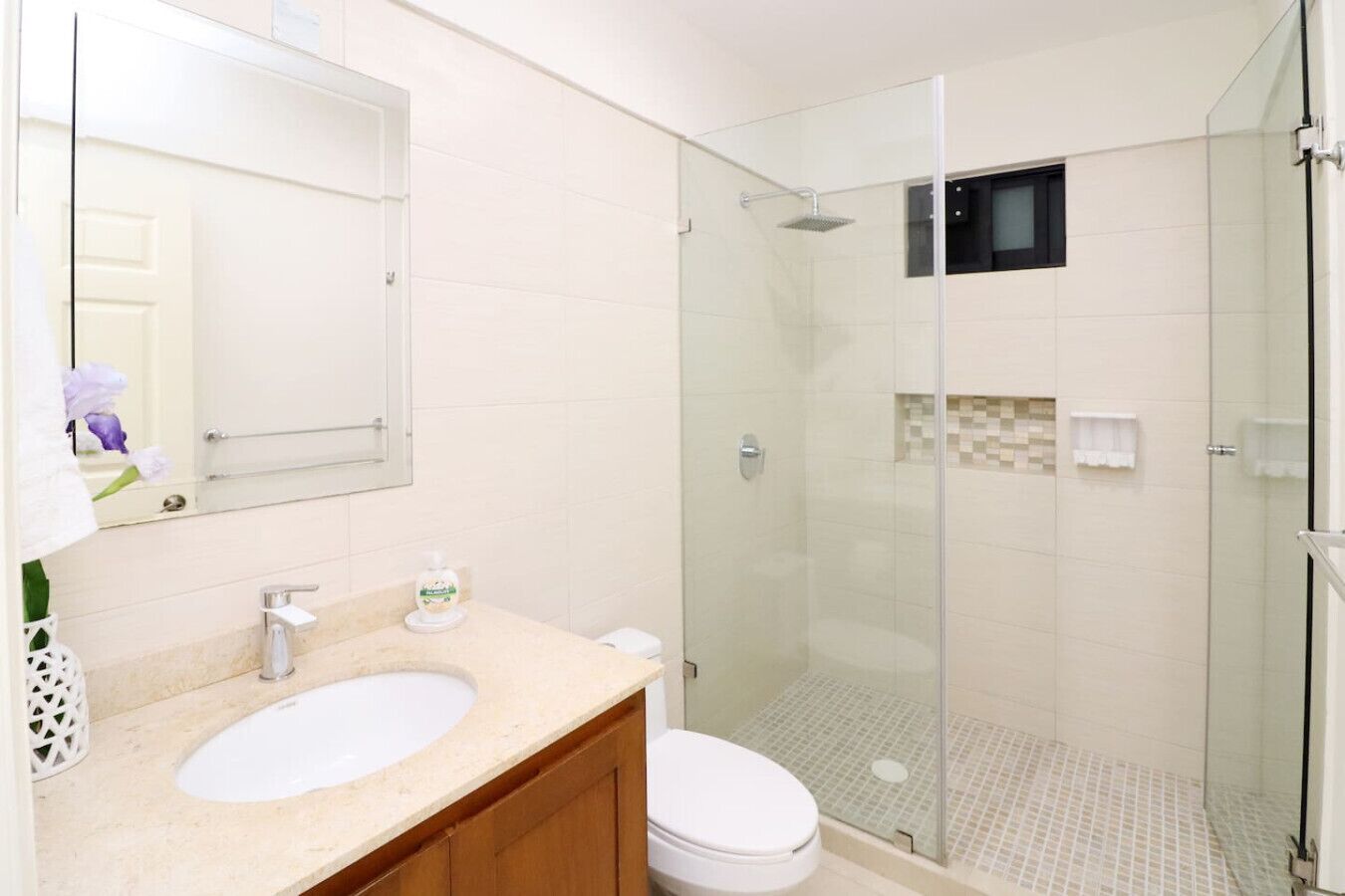 Bany amb dutxa de vidre, un lavabo i un vàter.