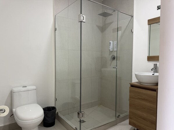 A modern bathroom with a glass-enclosed shower, a toilet, a sink, and a mirror.