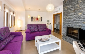 Smart-TV, Kamin