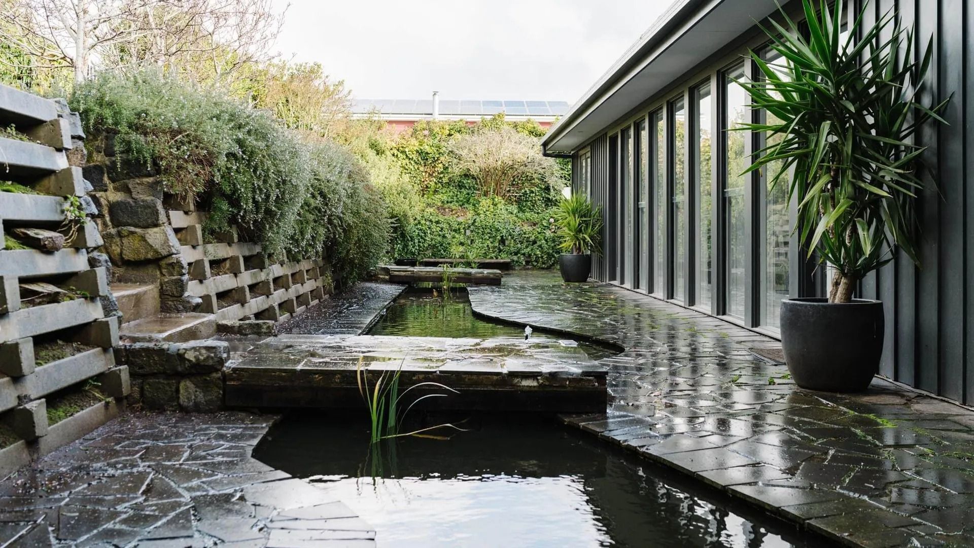 A stone pathway leading to a small water feature, surrounded by greenery and a modern building with large windows.