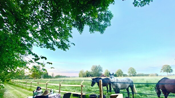 A fenced outdoor area with horses, a table with chairs, and a person sitting. - Vacation at the Horse Farm—Pets Welcome! (Jade)
