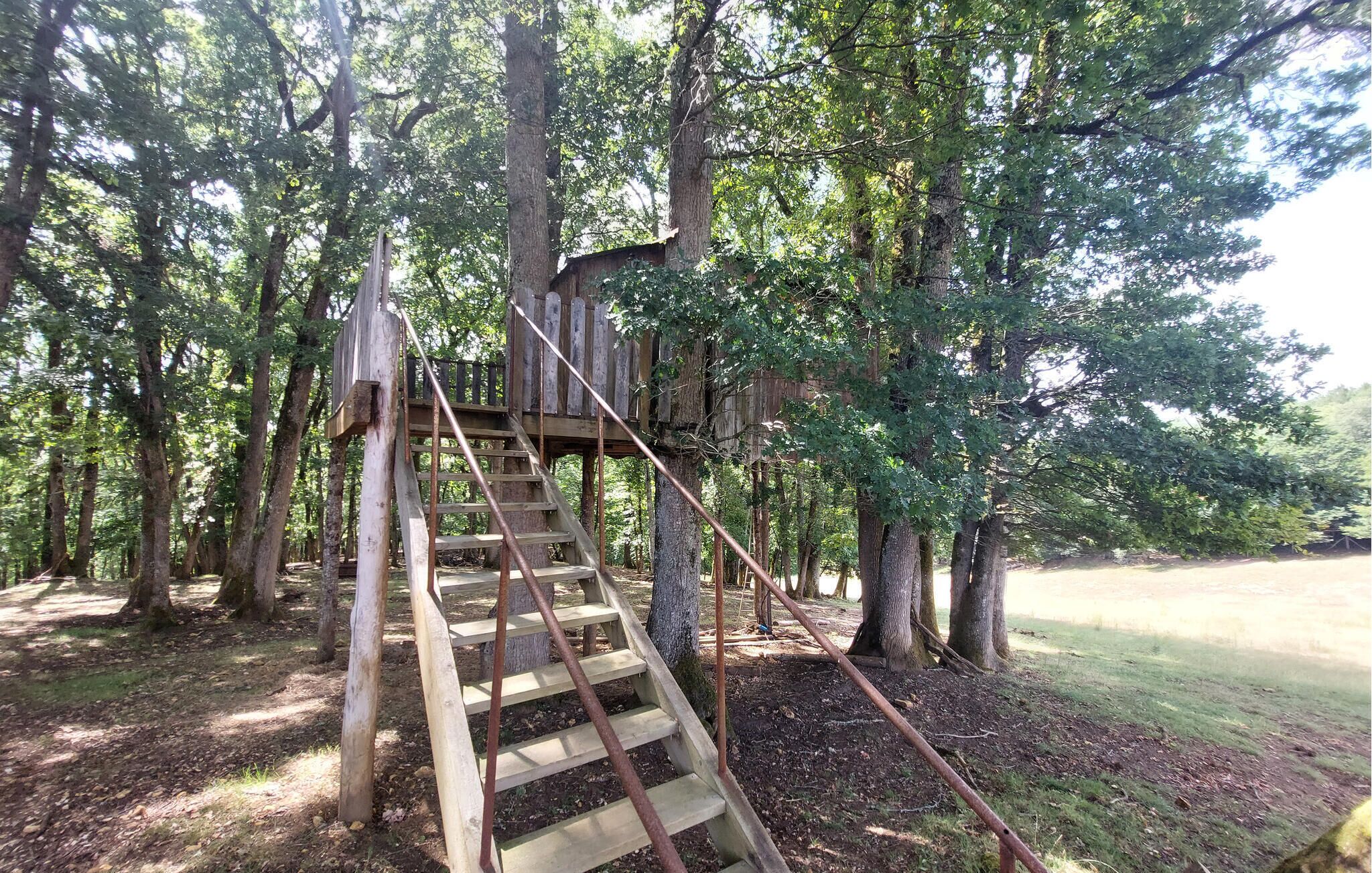 Een houten boomhut met een trap, omgeven door bomen in een bosrijk gebied.