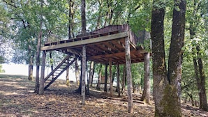 Une structure de terrasse en bois, dotée d’un escalier, entourée d’arbres et surplombant un sol forestier recouvert de feuilles.