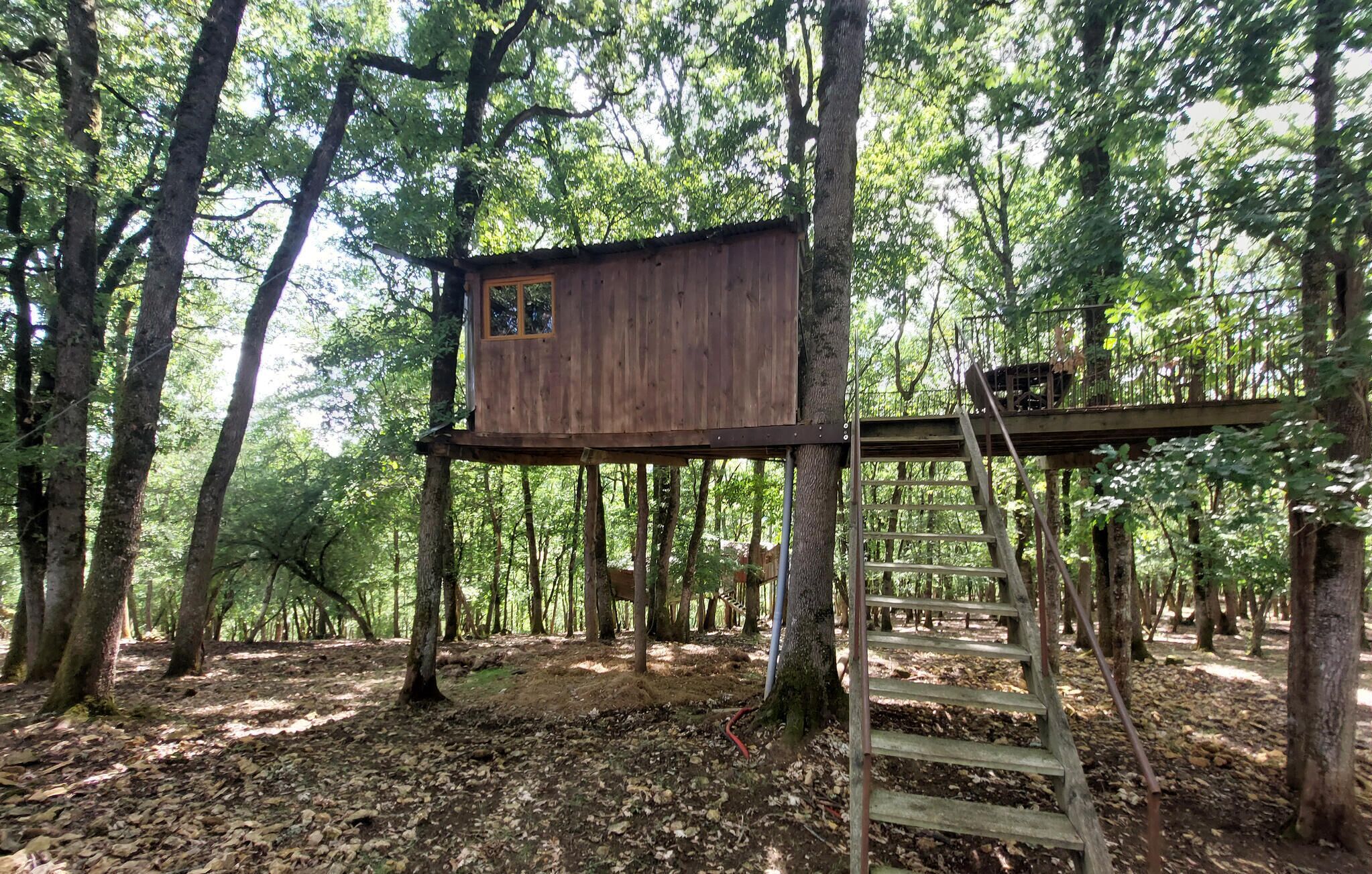 Een houten boomhut met een ladder, omgeven door een bos.