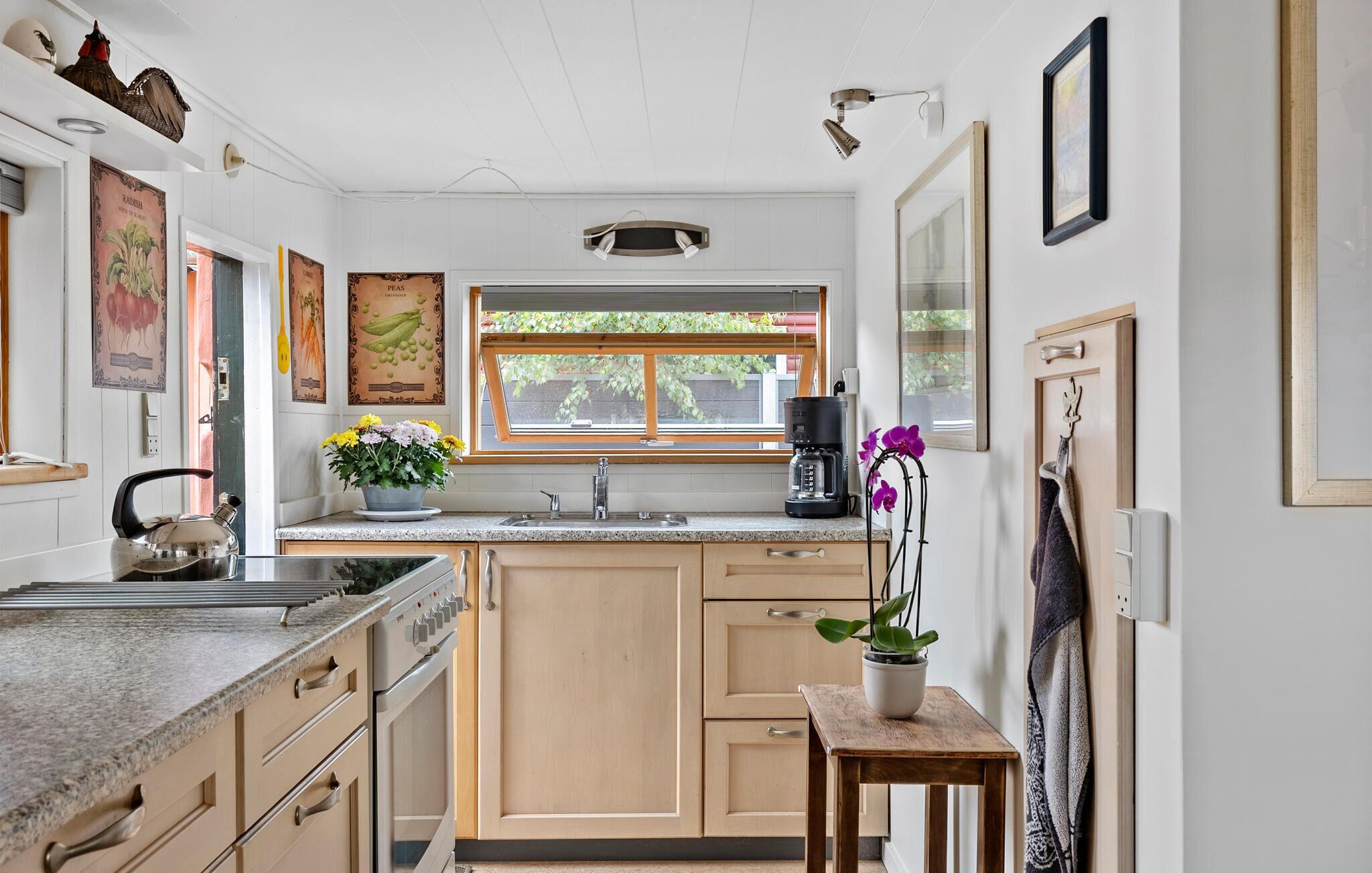 Une cuisine avec une fenêtre, une machine à café et une plante en pot.