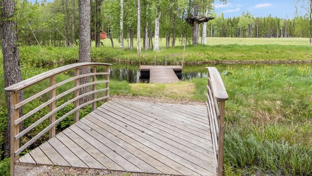 Un puente de madera sobre aguas tranquilas, rodeado de abundante vegetación y árboles.