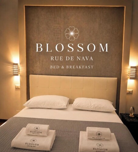 Blossom Rue De Nava B&B