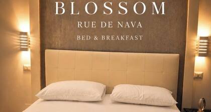 Blossom Rue De Nava B&B