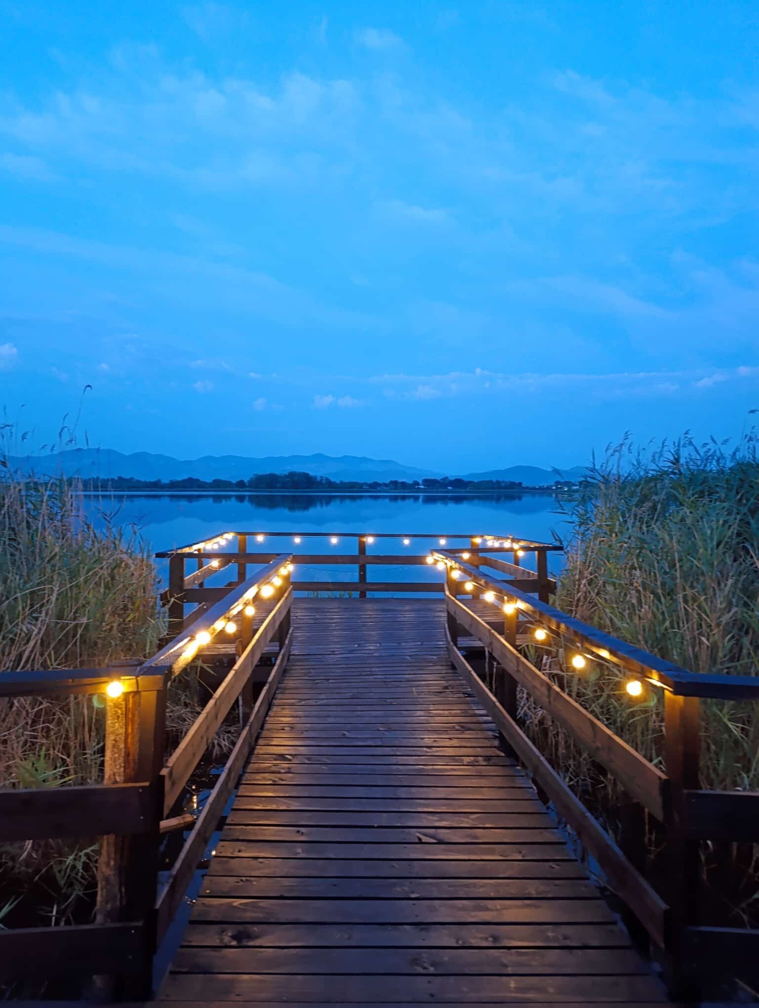 A wooden boardwalk leading to a body of water, surrounded by tall grasses and a clear sky.