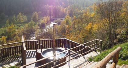 Baus's Cabins. Independent mountain cabin with panoramic views overlooking the valley and the stream
