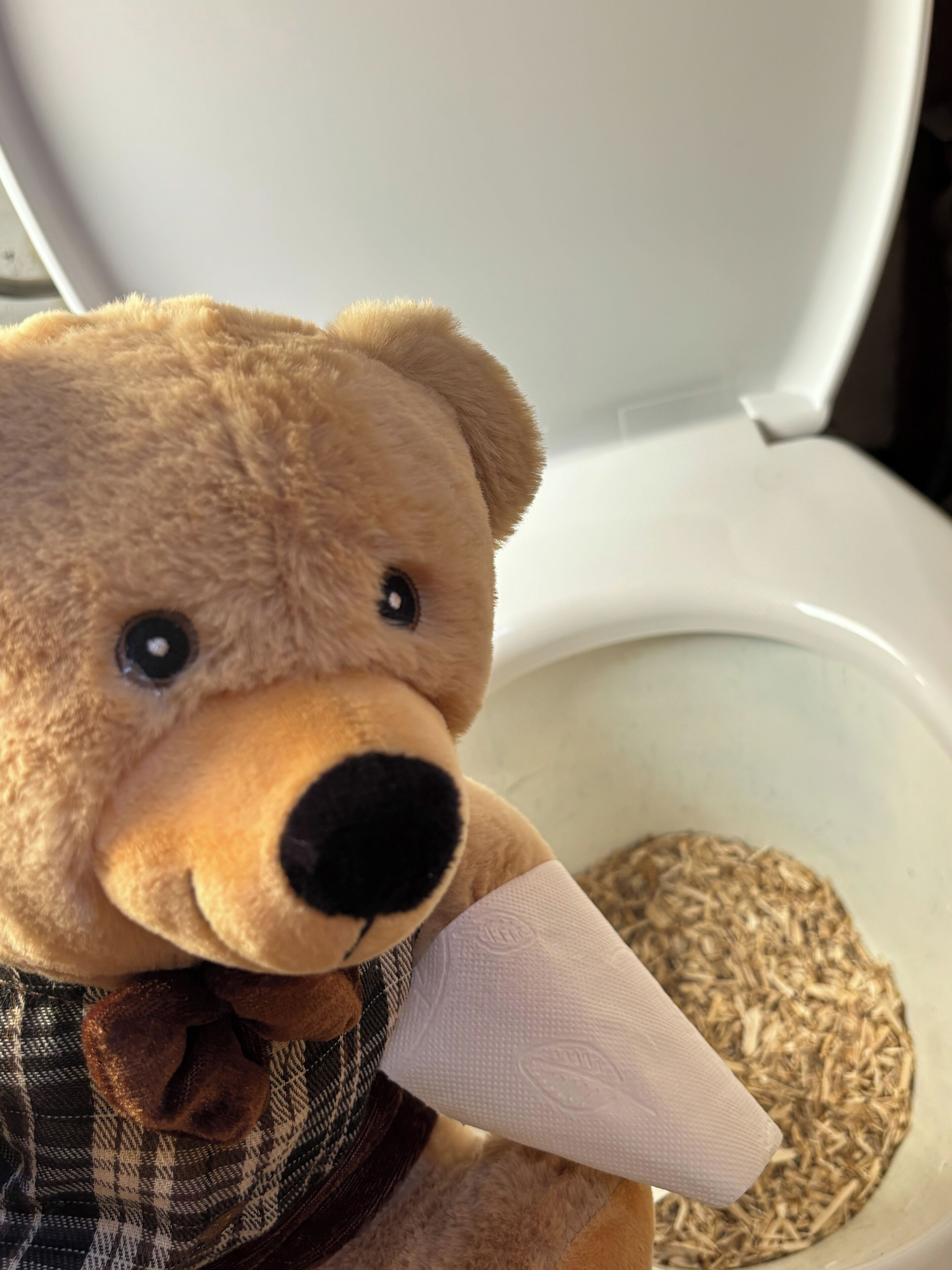 Een teddybeer zit op een toiletbril met een zakdoek in zijn mond.