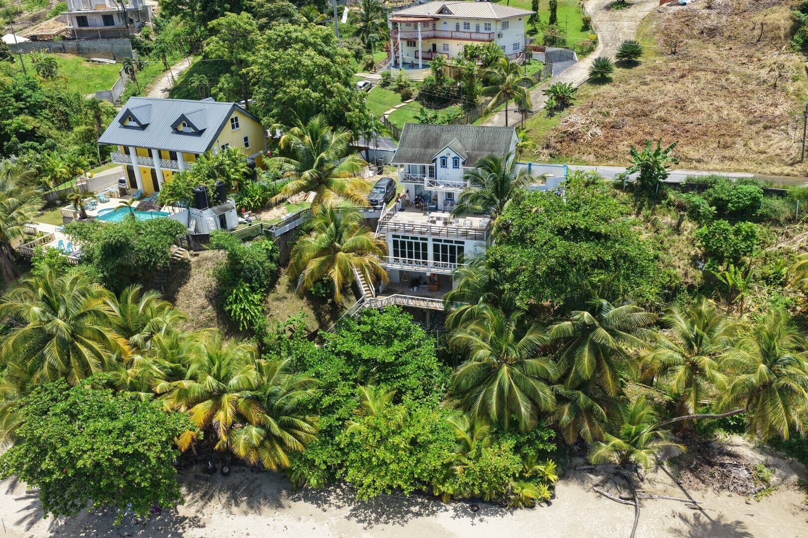Un barrio residencial con una casa grande que tiene piscina, rodeada de exuberante vegetación y palmeras.