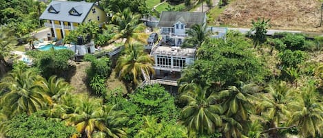 Un barrio residencial con una casa grande que tiene piscina, rodeada de exuberante vegetación y palmeras.