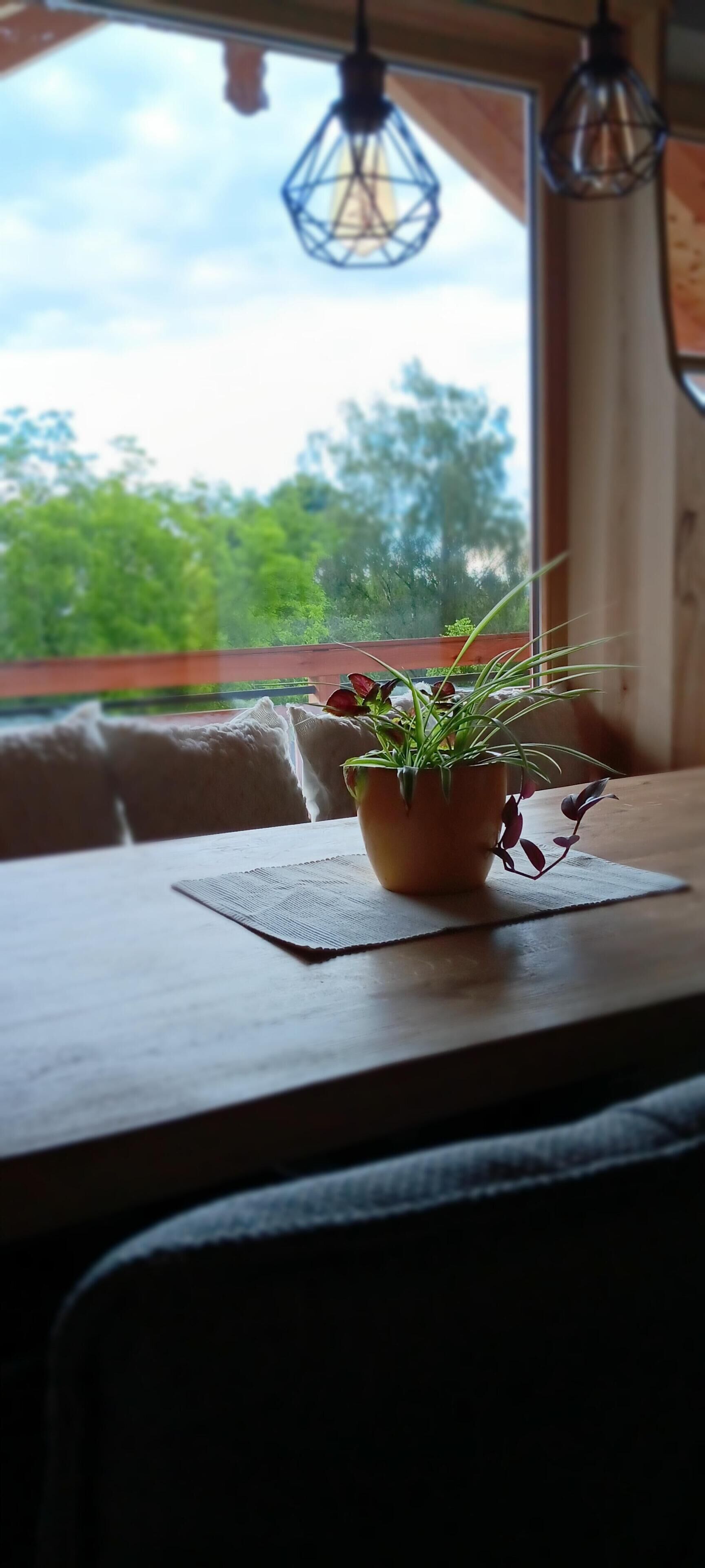 Speisen